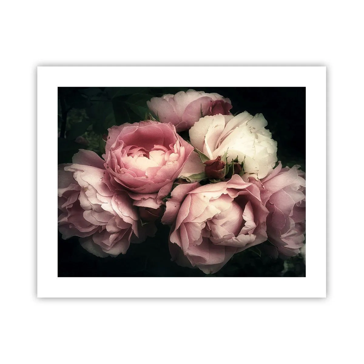 Poster - De charme van belle epoque - 50x40 cm