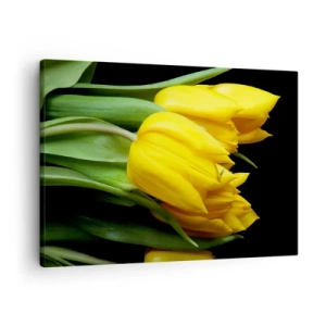 Schilderen op canvas - Een boeket gele tulpen op een zwarte achtergrond - 70x50cm - Gemaakt van heldere zon - Moderne wanddecoratie voor woonkamer en slaapkamer ARTTOR