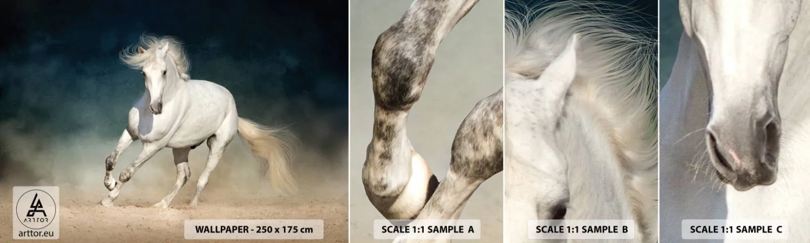 Fotobehang Monster Zelfklevend Deluxe Sticker - Vrijheid in zijn pure staat - Paard, Dier, Wit - 100x30 cm