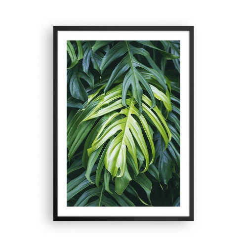 Poster in een zwarte lijst - Close-up van groene monsterabladeren - 50x70cm - Dompel jezelf onder in de frisheid - Moderne wanddecoratie voor woonkamer en slaapkamer ARTTOR