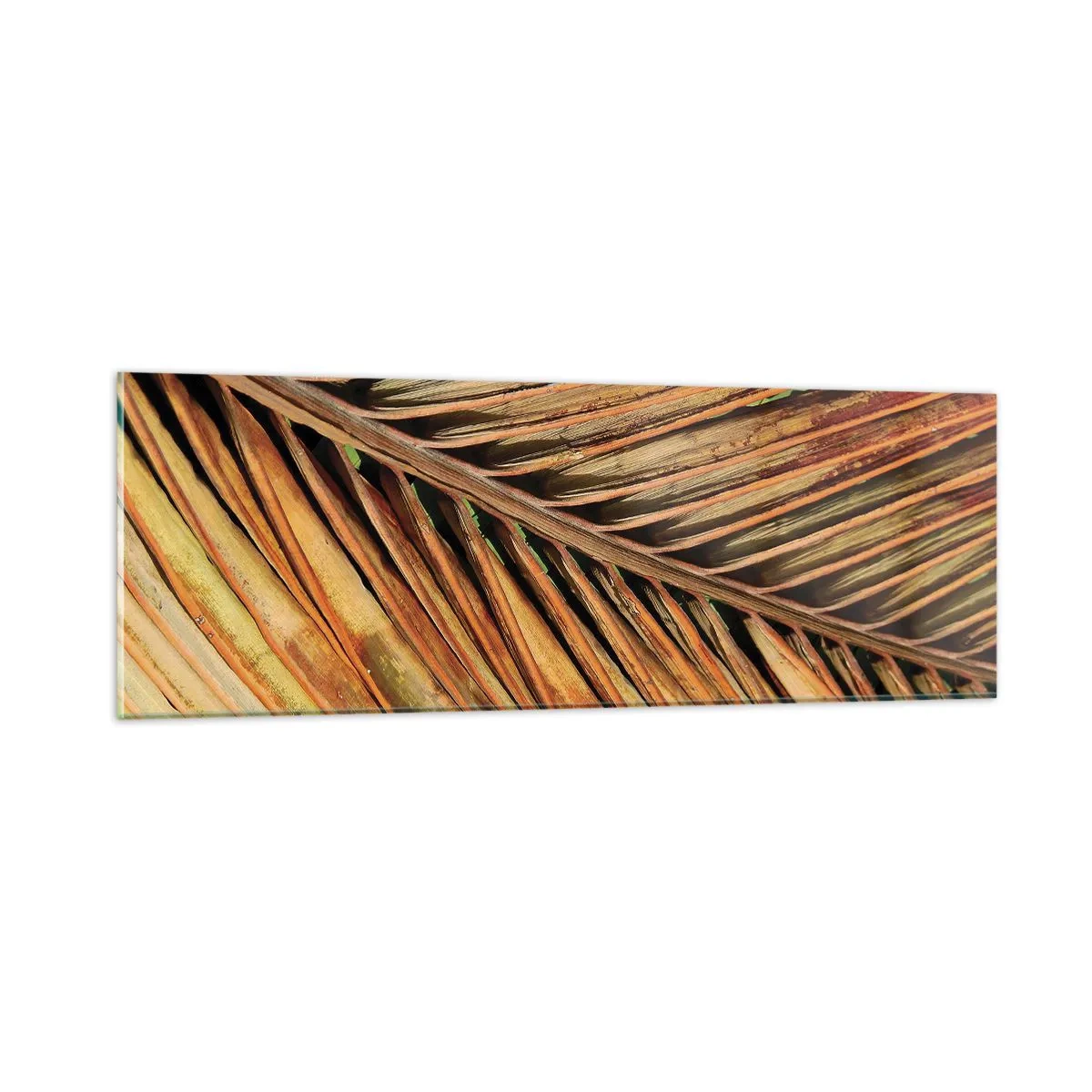 Schilderen op glas - Kokos goud - 90x30 cm