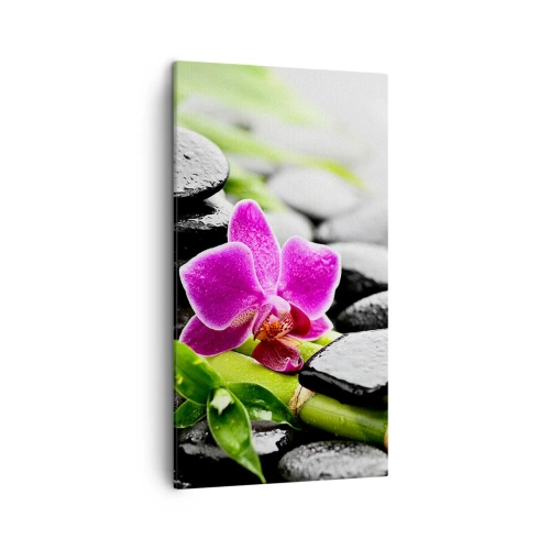 Schilderen op canvas - In een vrede evenwicht - 45x80 cm