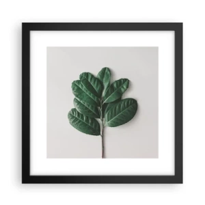 Poster in een zwarte lijst - Een tekening van de pure natuur - 30x30 cm