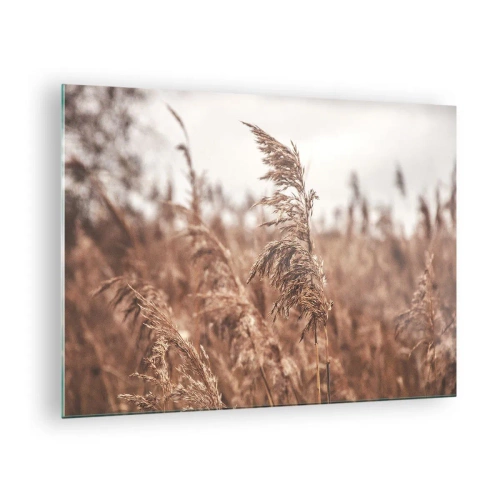 Schilderen op glas - Gedroogde grassen in de wind in het herfstlicht van de natuur - 70x50cm - Het is al herfst in de velden - Moderne wanddecoratie voor woonkamer en slaapkamer ARTTOR