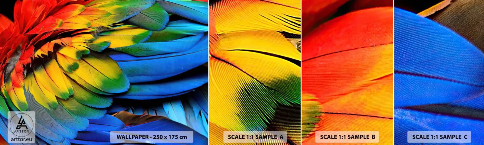 Fotobehang Monster Zelfklevend Deluxe Sticker - Paradijsvogel - Kleurrijke veren, Papegaai veren, Dieren - 100x30 cm