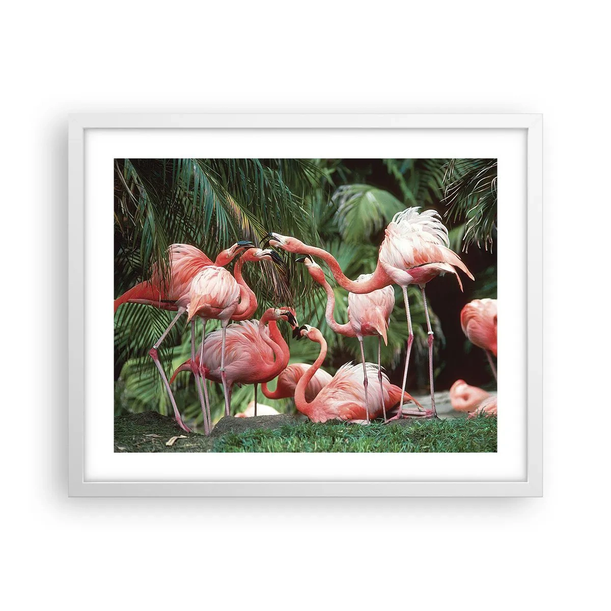 Poster in een witte lijst - Middag roddels - 50x40 cm