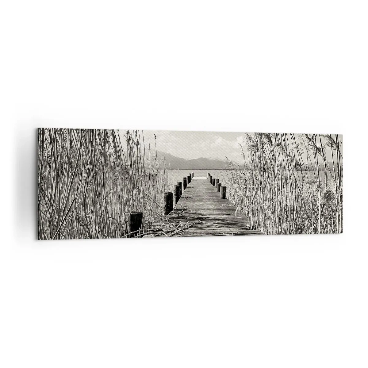 Schilderen op canvas - In de stilte van het gras - 160x50 cm