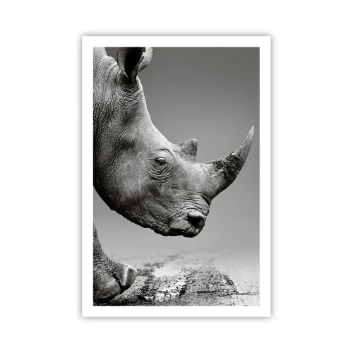 Poster - Onstuitbare kracht - 61x91 cm