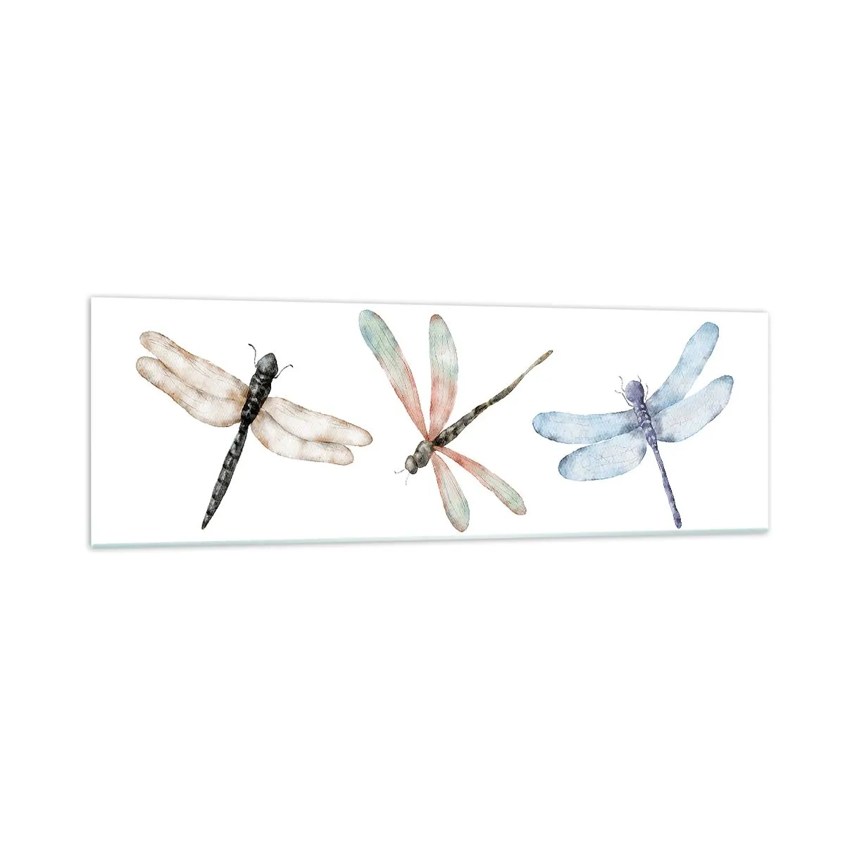 Schilderen op glas - Gewichtloze libellen - 160x50 cm