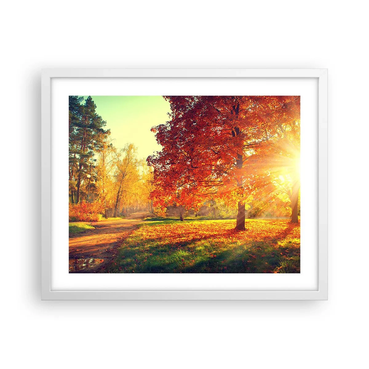 Poster in een witte lijst - Rood is mooi - 50x40 cm