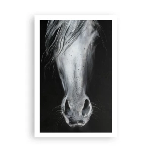 Poster - Verleidelijke blik - 61x91 cm