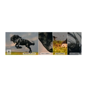 Fotobehang Monster Zelfklevend Deluxe Sticker - Mooi en vrij - Dieren, Paard, Landschap - 100x30 cm
