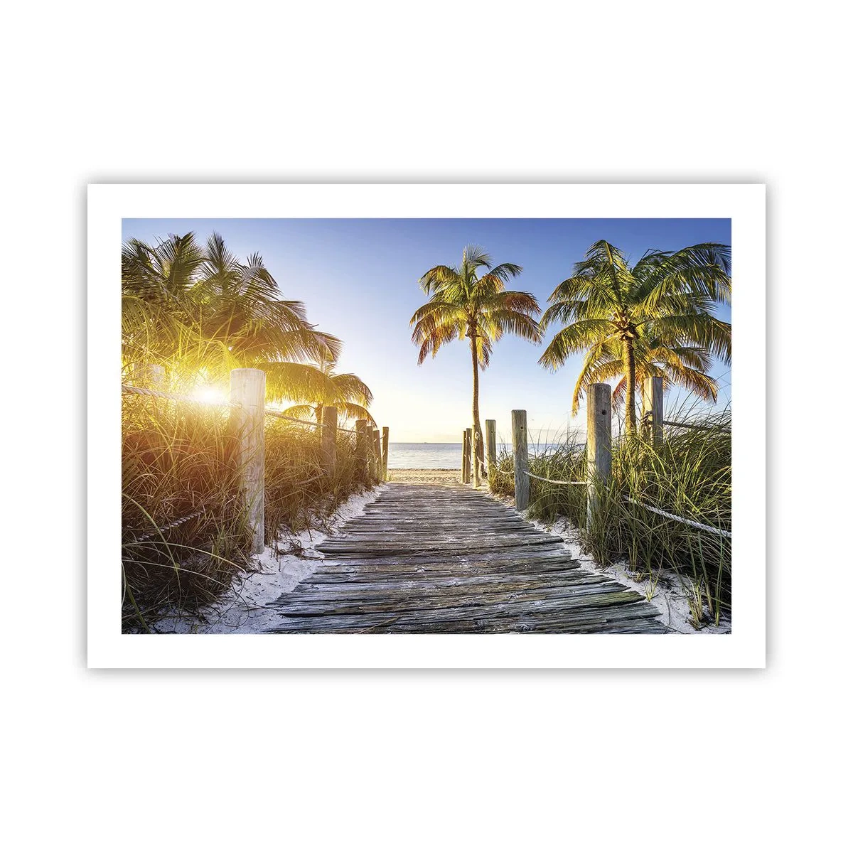 Poster - Rechtstreeks naar het paradijs - 70x50 cm