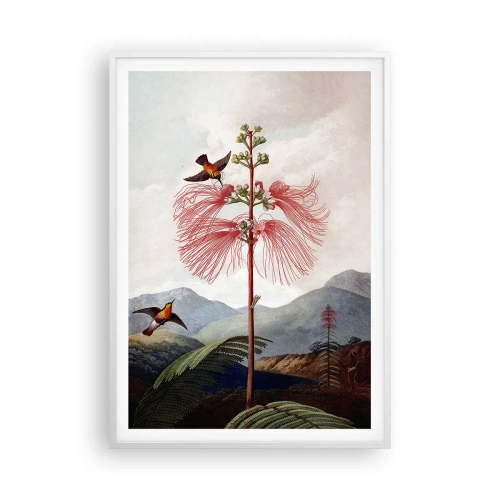 Poster in een witte lijst - In een tropisch paradijs - 70x100 cm