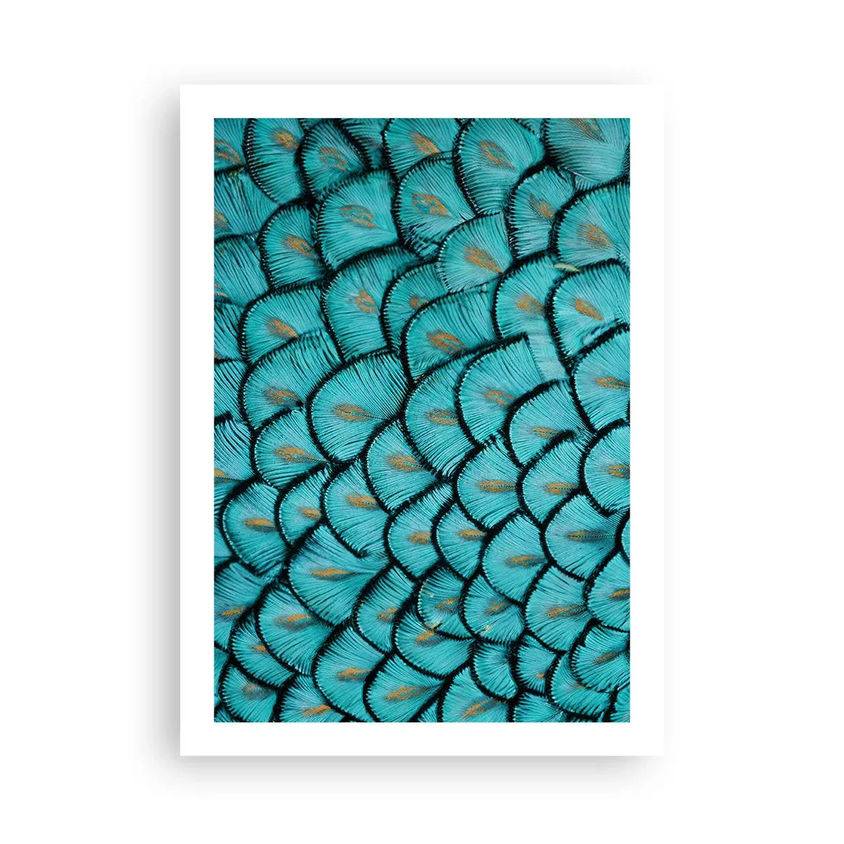 Poster - Het grote verengala - 50x70 cm