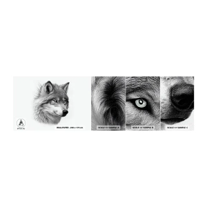 Fotobehang Monster Zelfklevend Deluxe Sticker - Alfa – zonder twijfel - Wolf, Dier, Scandinavisch - 100x30 cm