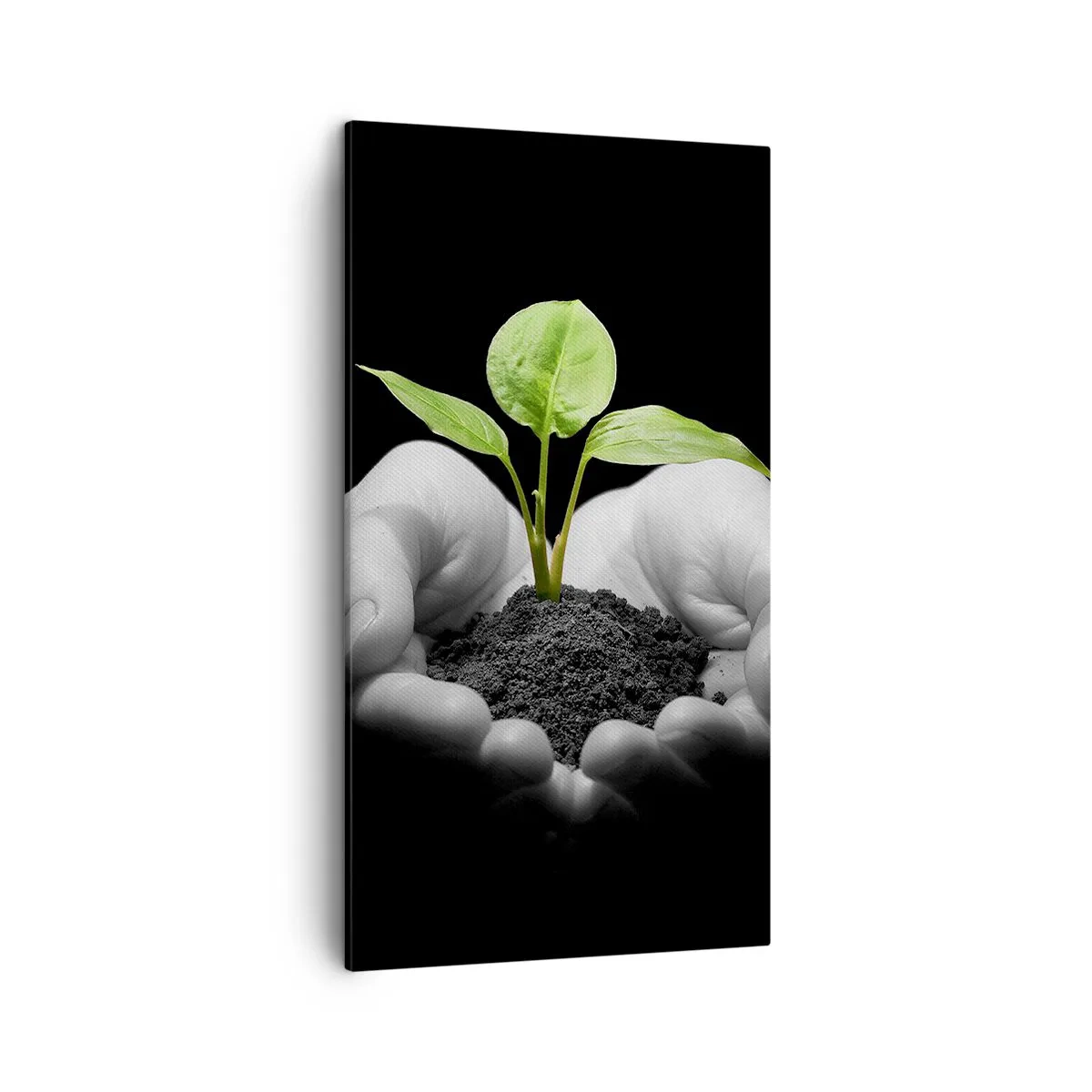 Schilderen op canvas - Ik hou van de natuur, ik bescherm haar - 45x80 cm