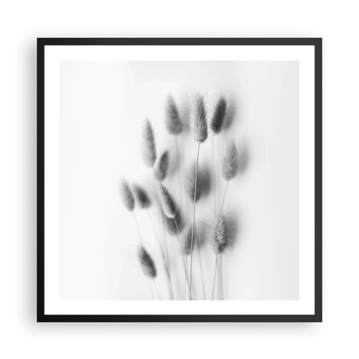 Poster in een zwarte lijst - Haar luchtigheid gras - 60x60 cm