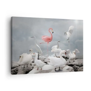 Schilderen op canvas - Een roze flamingo tussen witte zwanen tegen de achtergrond van een meer - 70x50cm - Hoe ben ik hier terecht gekomen? - Moderne wanddecoratie voor woonkamer en slaapkamer ARTTOR