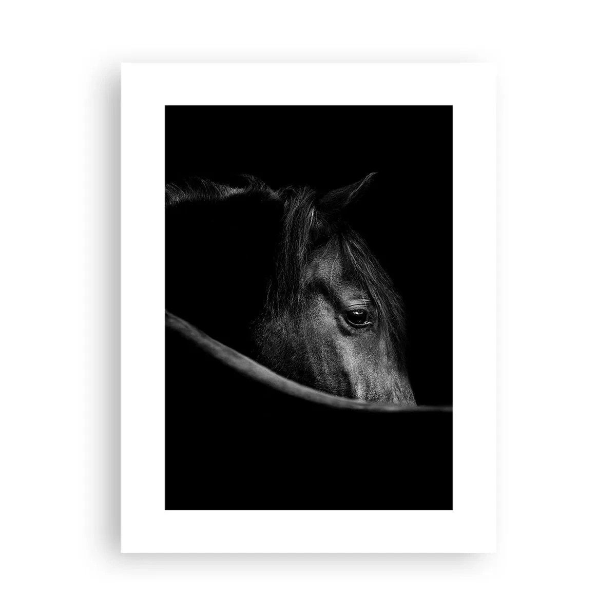 Poster - Zwarte Prins - 30x40 cm