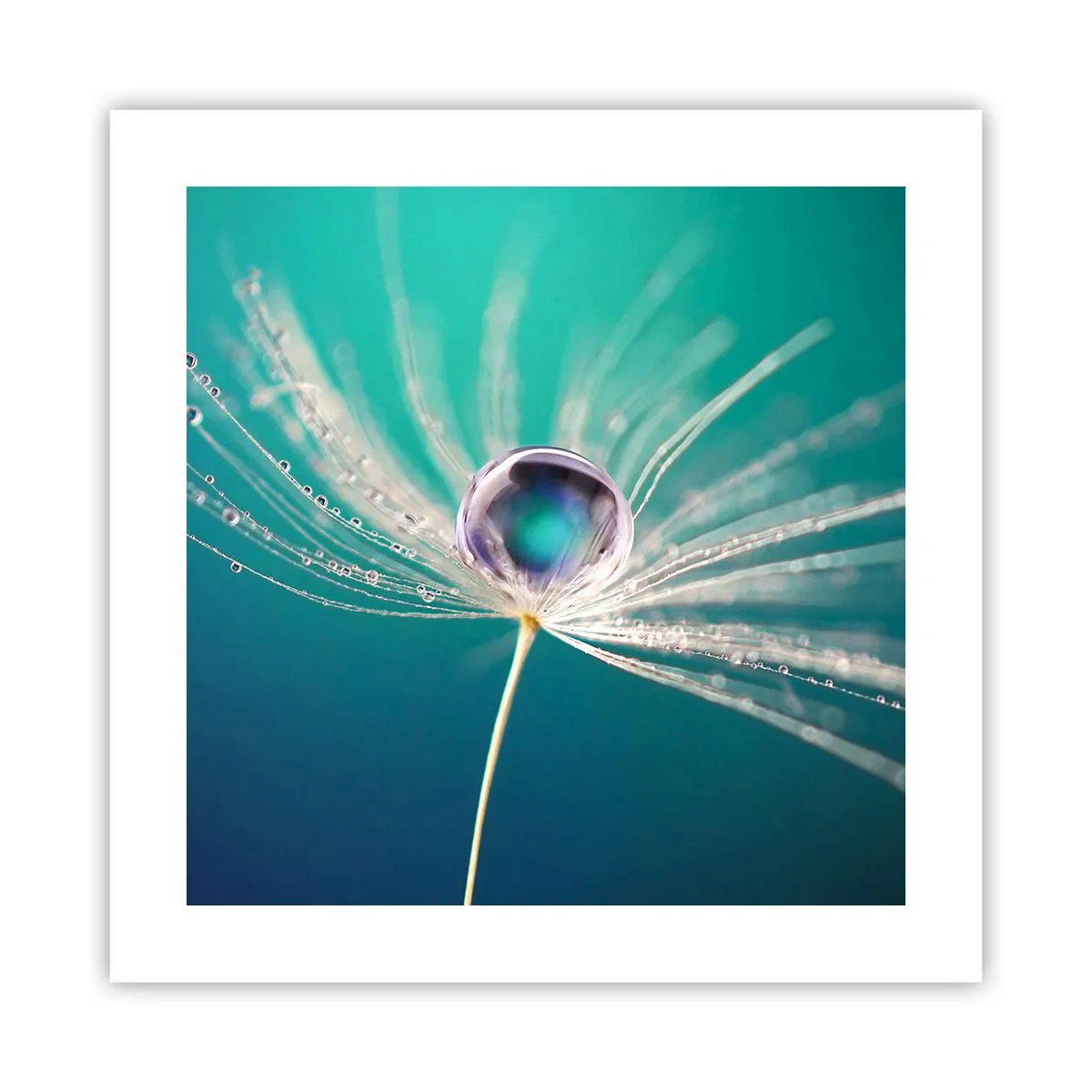 Poster - Mystiek moment - 40x40 cm