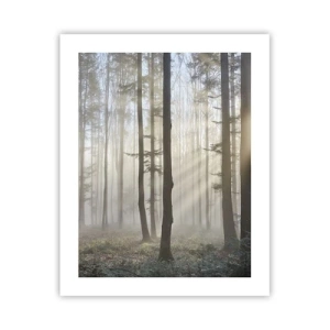 Poster - De mist werd ook wakker - 40x50 cm
