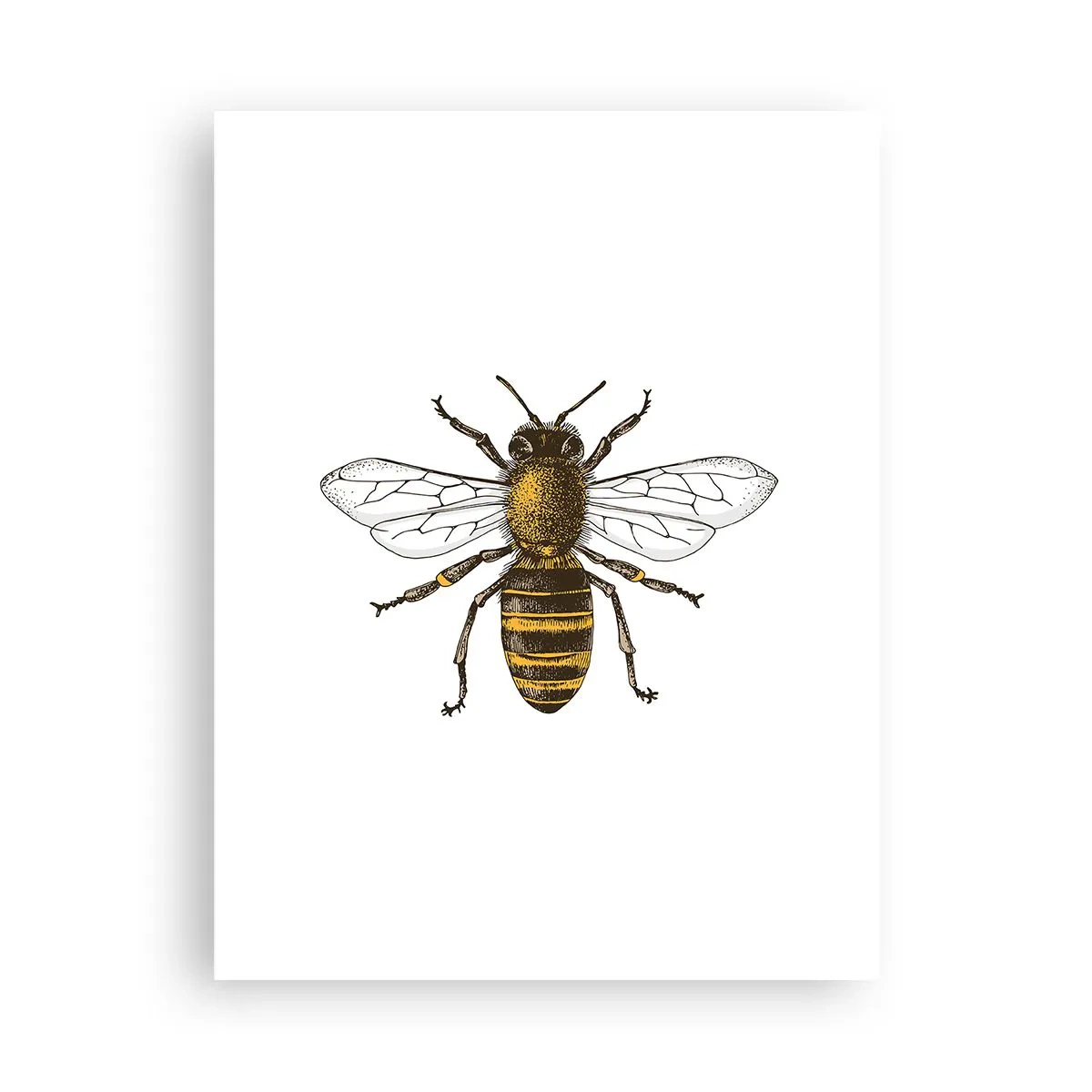 Poster - Mooi en goed - 30x40 cm