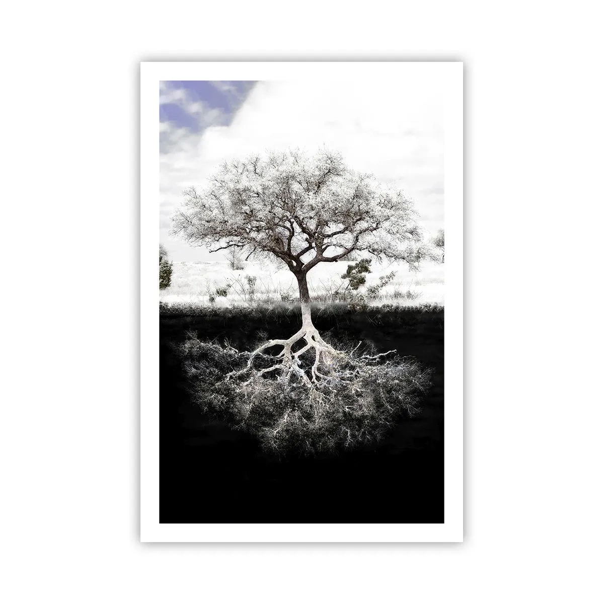 Poster - De natuur van de wereld ontdekken - 61x91 cm