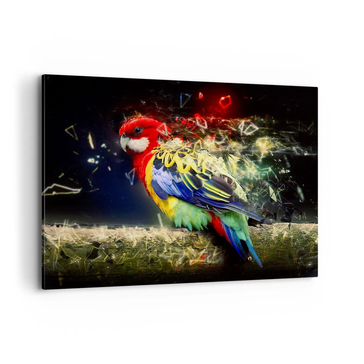 Schilderen op canvas - Boodschapper van uitstraling - 100x70 cm