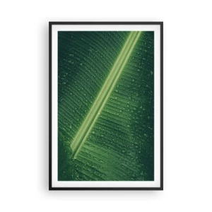 Poster in een zwarte lijst - De structuur van groen - 61x91 cm