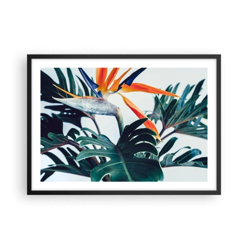Poster in een zwarte lijst - Vogelstruik - 70x50 cm