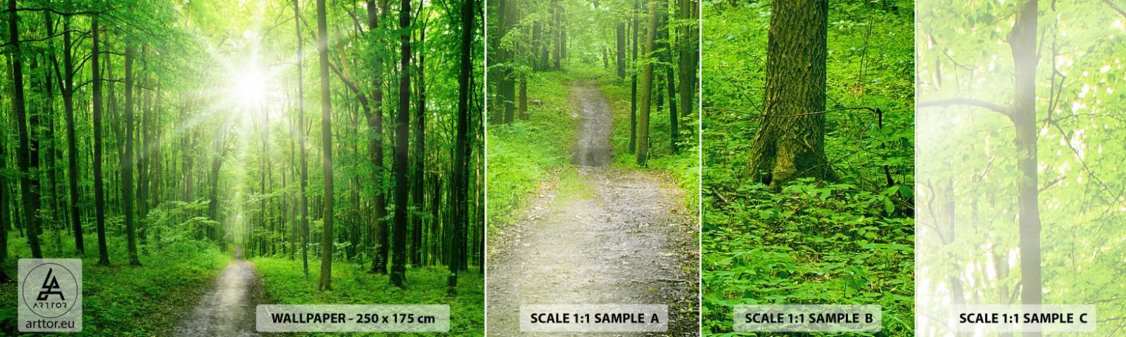 Fotobehang Monster Zelfklevend Deluxe Sticker - De groene kathedraal - Landschap, Woud, Stralen van de zon - 100x30 cm