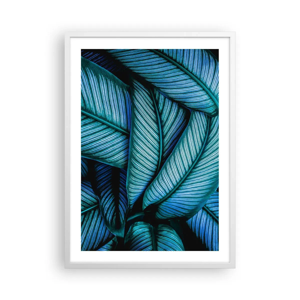 Poster in een witte lijst - Levens lijnen - 50x70 cm