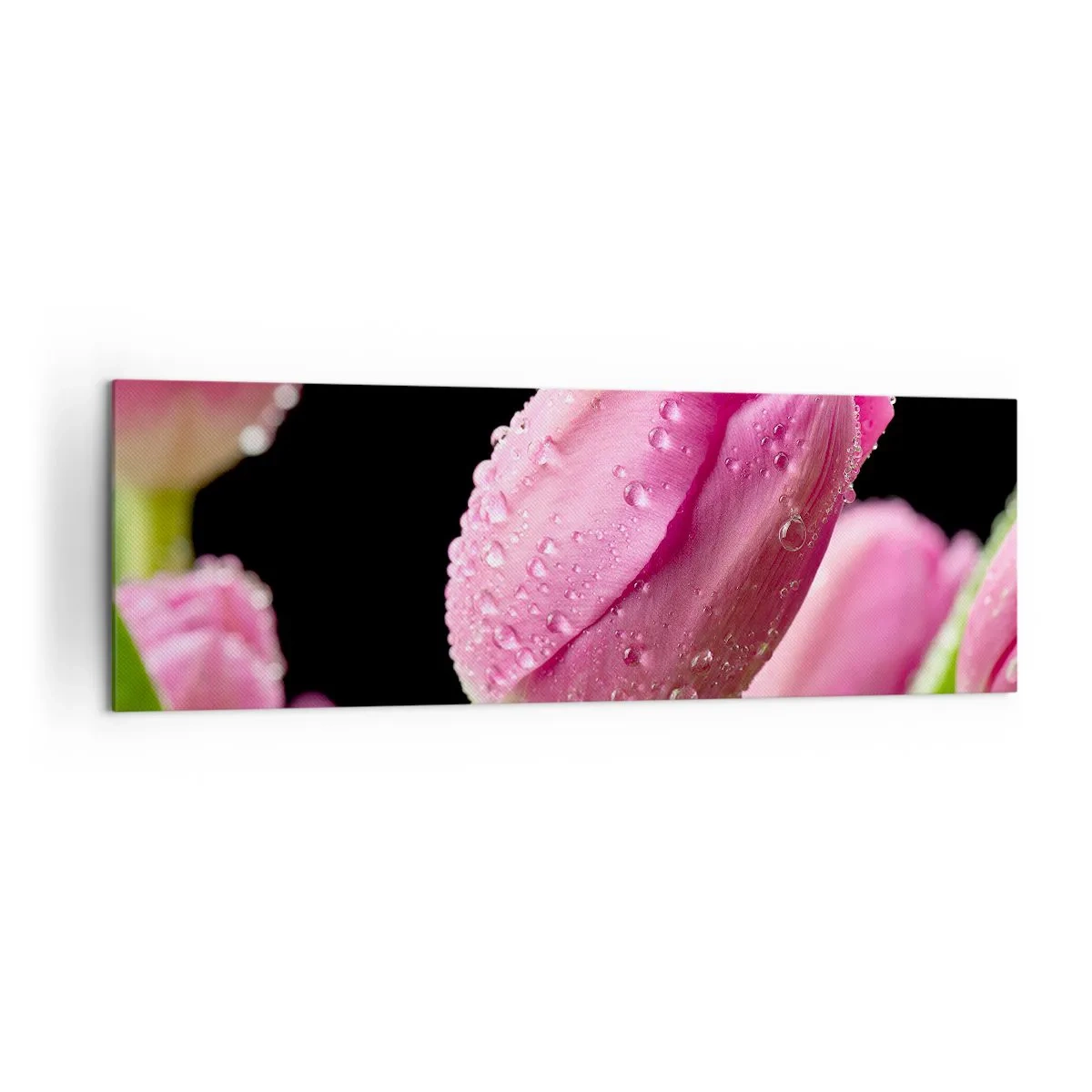 Schilderen op canvas - Lila droom in dauw - 160x50 cm