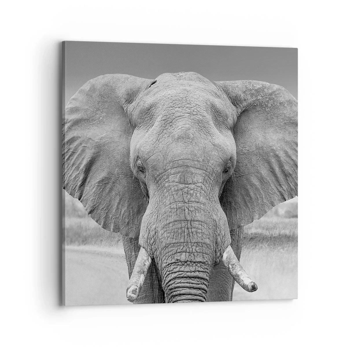 Schilderen op canvas - Welkom in mijn wereld - 70x70 cm