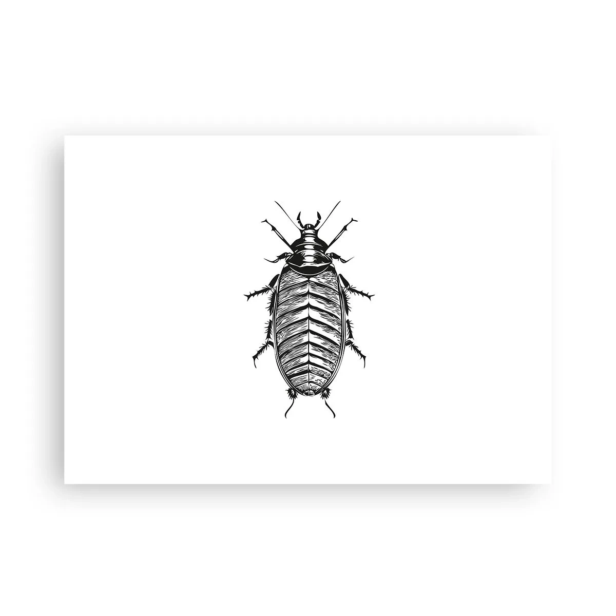 Poster - Wat een exemplaar! - 70x50 cm