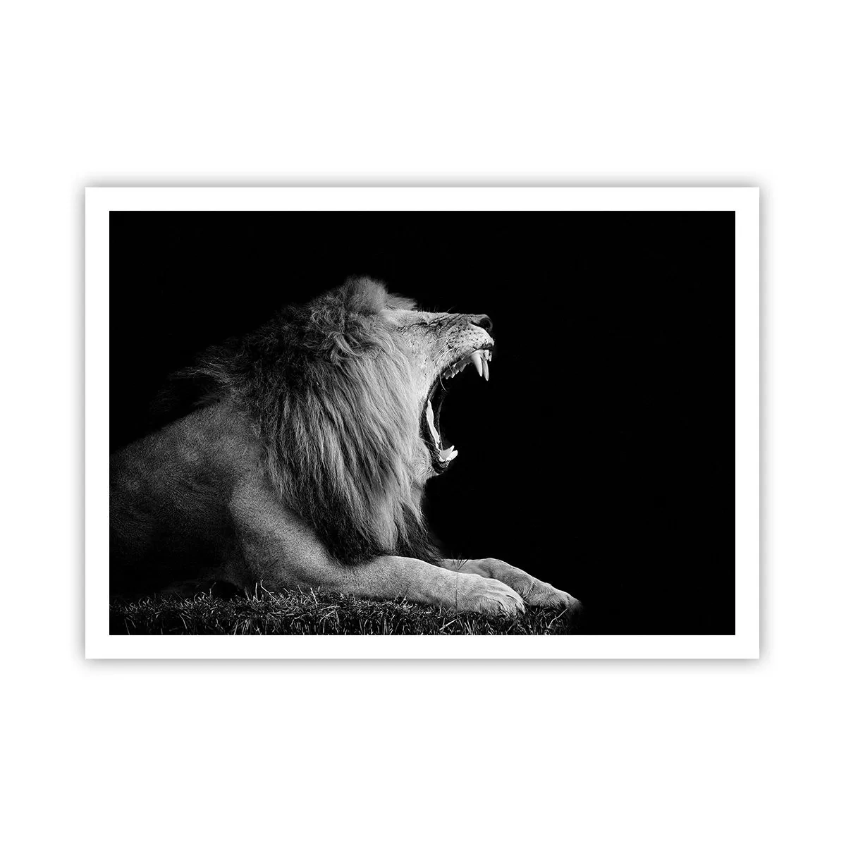Poster - Zonder enige twijfel - 100x70 cm