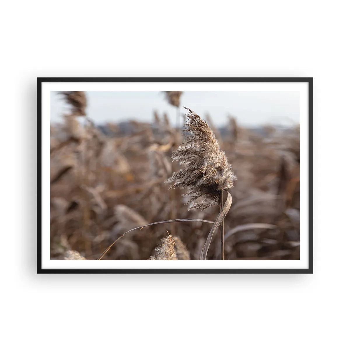 Poster in een zwarte lijst - Tijd om met de wind mee te gaan - 100x70 cm