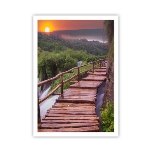 Poster - Ongelooflijke schoonheid - 70x100 cm