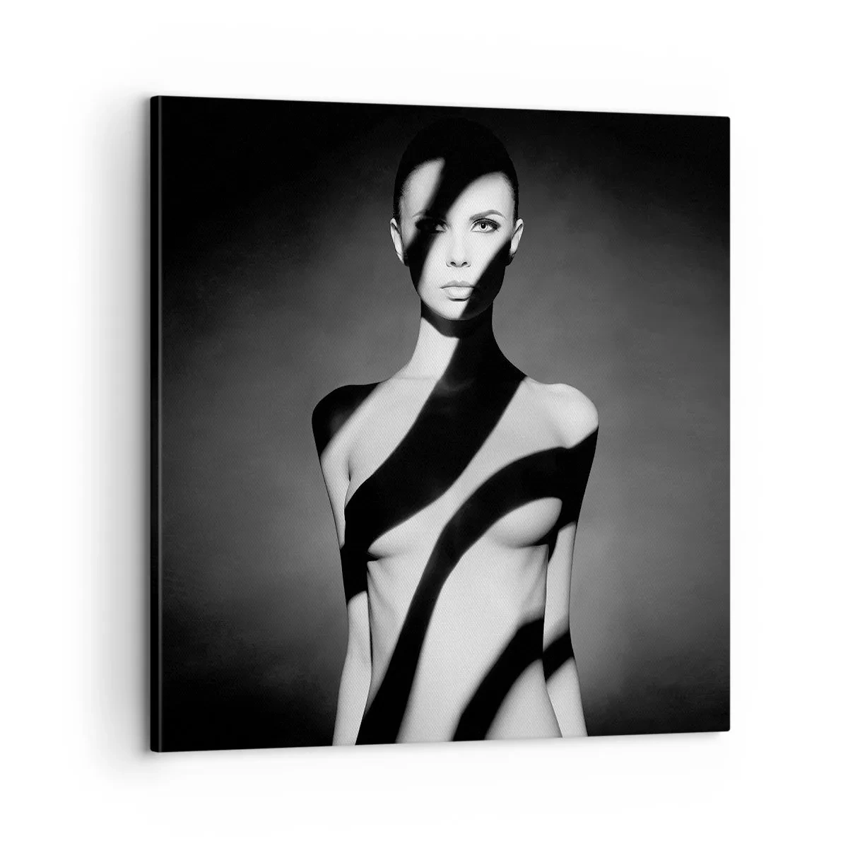 Schilderen op canvas - In glans en schaduw - 60x60 cm