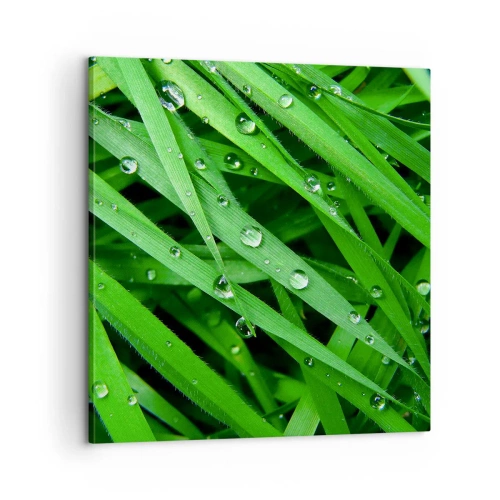 Schilderen op canvas - Speel groen - 60x60 cm