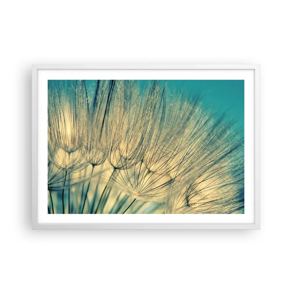 Poster in een witte lijst - In afwachting van de wind - 70x50 cm