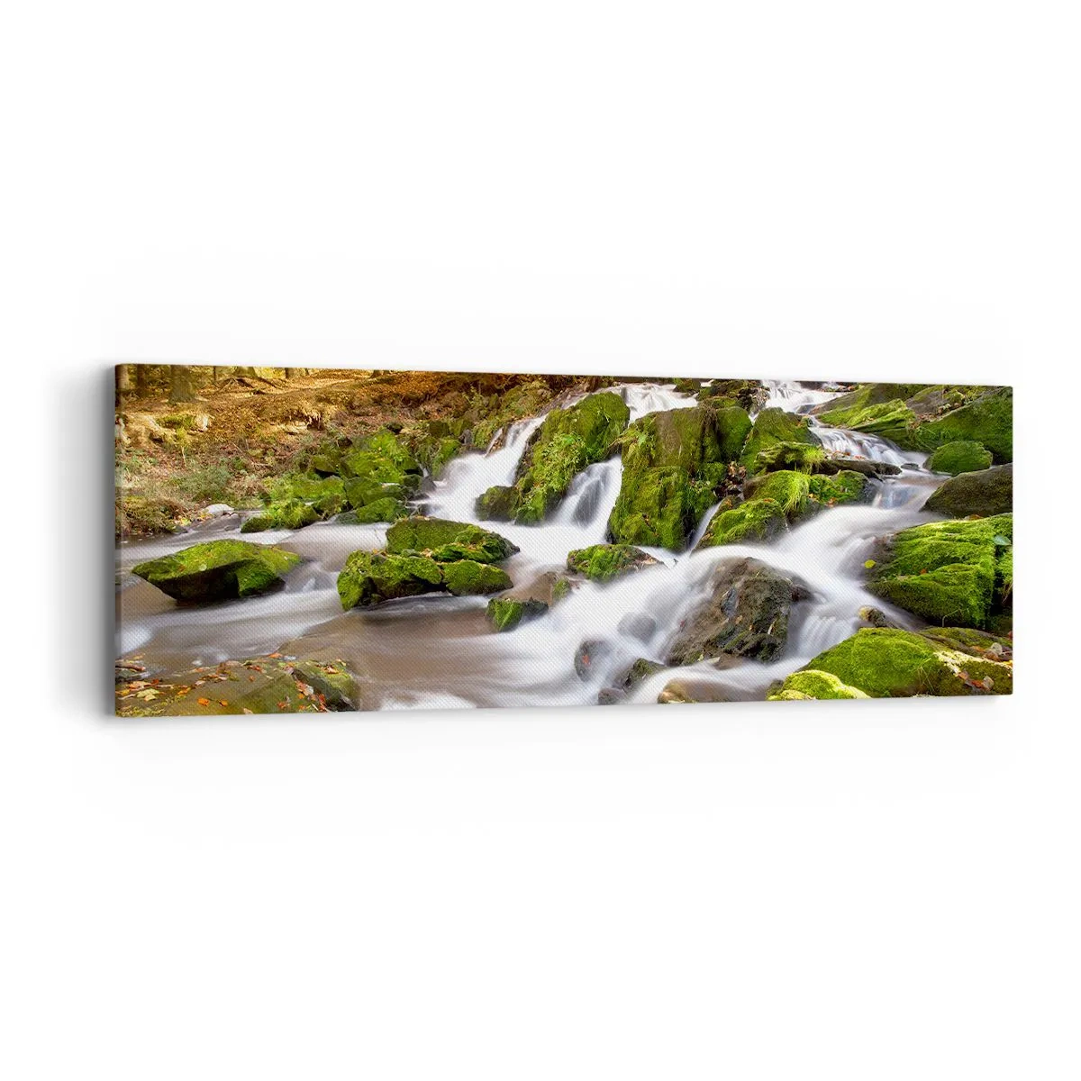 Schilderen op canvas - Snel door het herfstbos - 90x30 cm