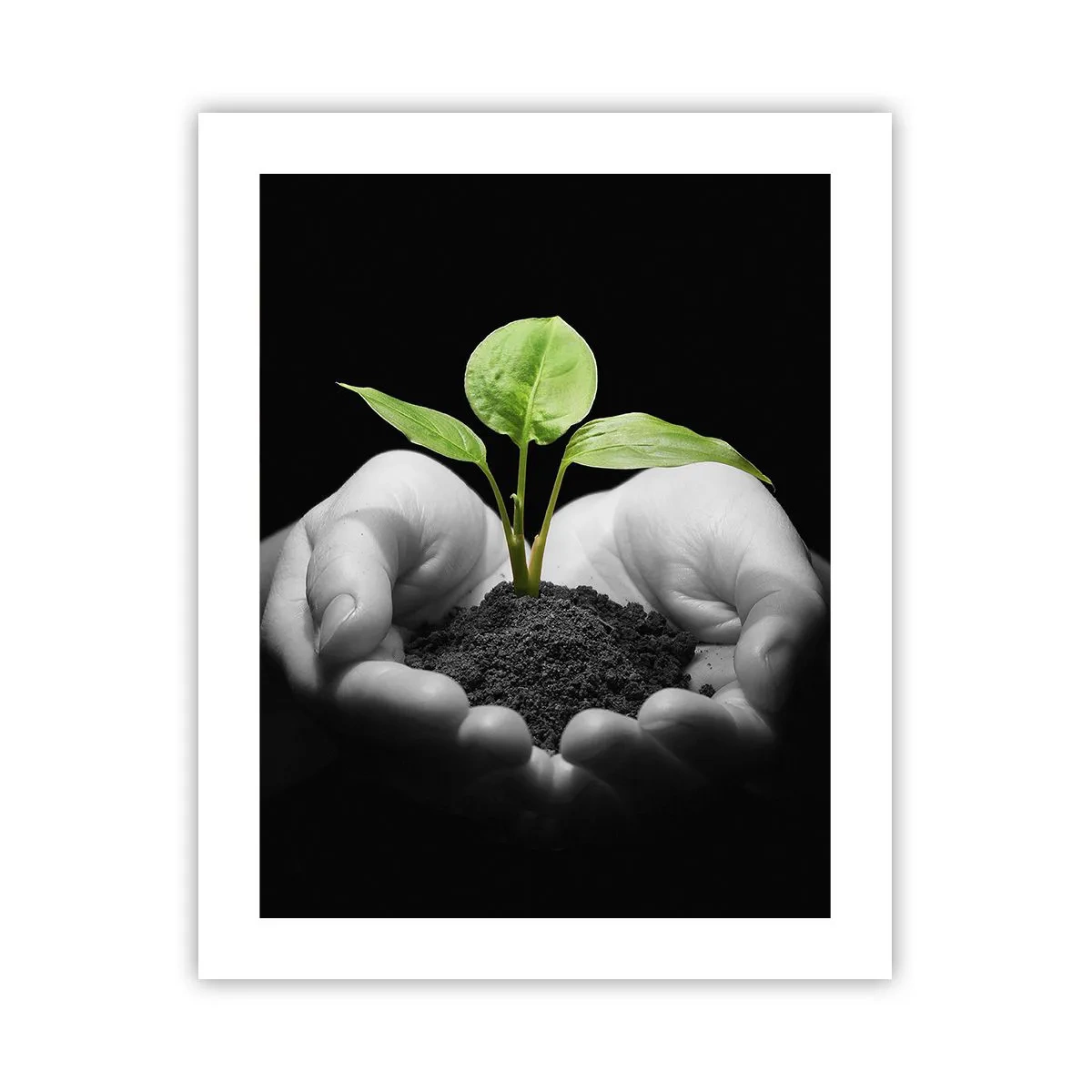 Poster - Ik hou van de natuur, ik bescherm haar - 40x50 cm