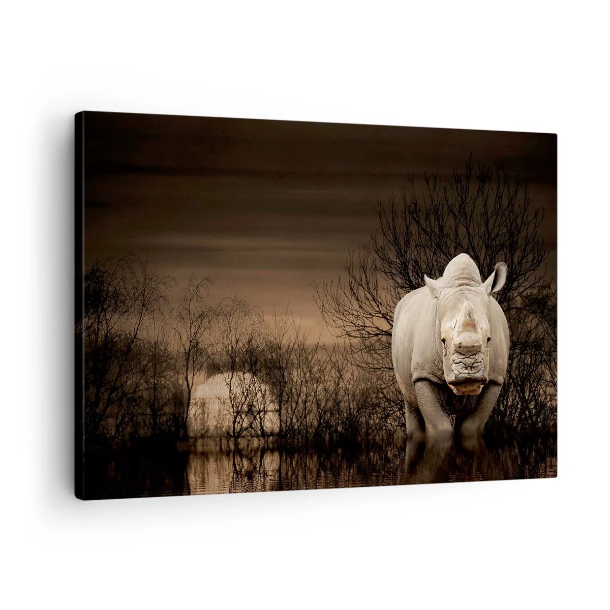 Schilderen op canvas - Neushoorn tussen de bomen bij zonsondergang, wilde natuur. - 70x50cm - Wit tegen de natuur - Moderne wanddecoratie voor woonkamer en slaapkamer ARTTOR
