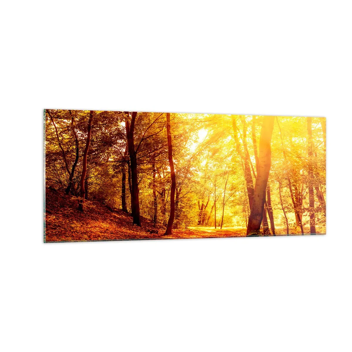 Schilderen op glas - Op weg naar de gouden open plek - 100x40 cm