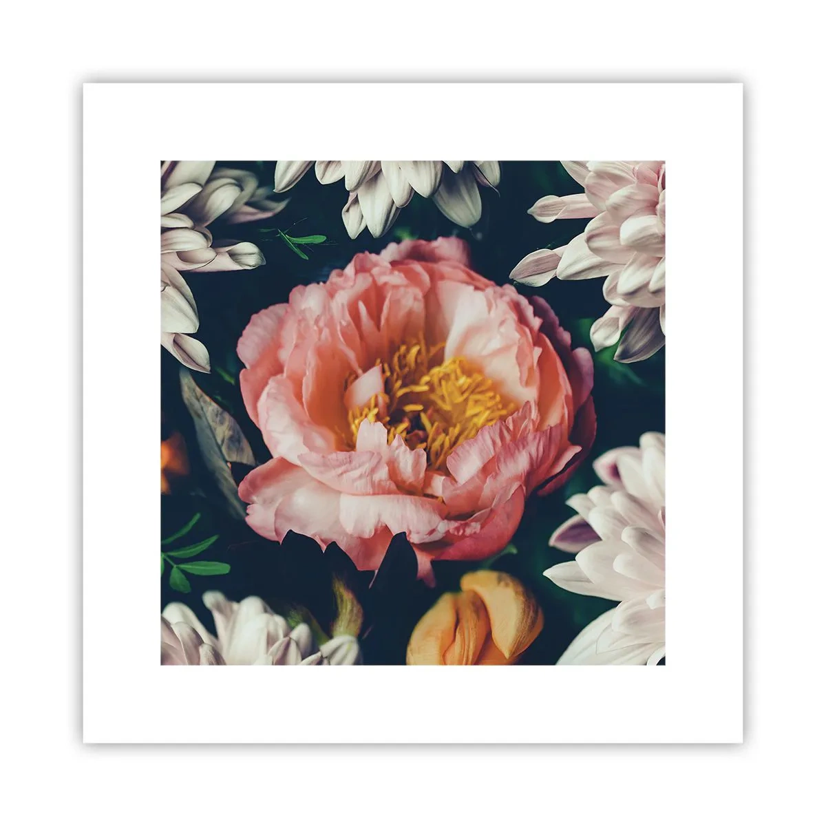 Poster - Met barokke pracht - 30x30 cm