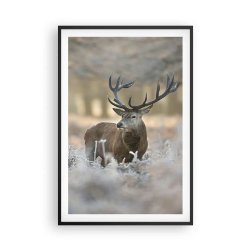 Poster in een zwarte lijst - Een frisse ochtend - 61x91 cm