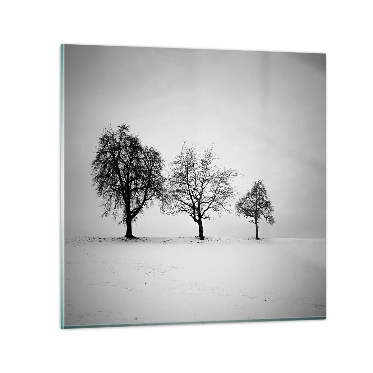 Schilderen op glas - Waar dromen ze over? - 70x70 cm