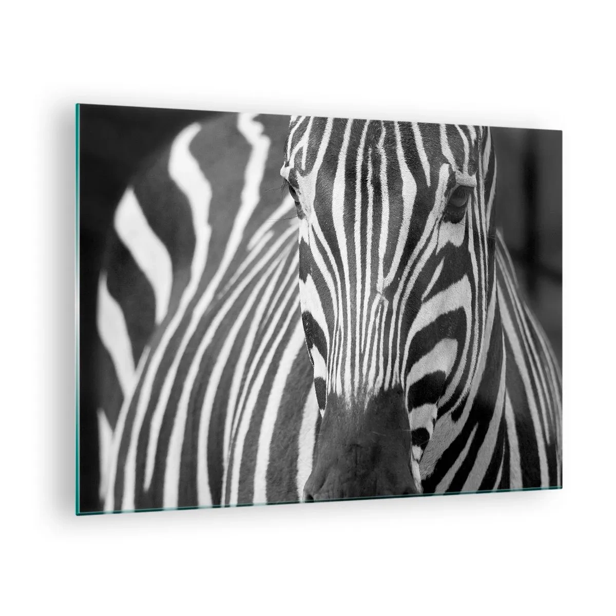 Schilderen op glas - Zwart-witportret van een zebra met zichtbare strepen - 70x50cm - De wereld is zwart-wit - Moderne wanddecoratie voor woonkamer en slaapkamer ARTTOR